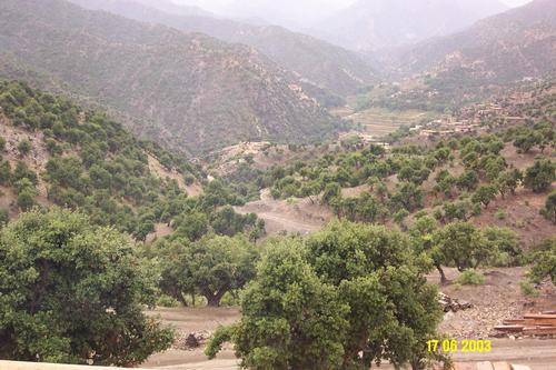 kunar